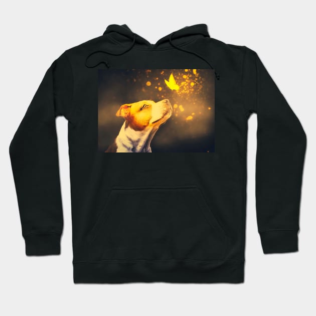 Staffordshire Bull Terrier and butterfly photo manipulation Magic moment Hoodie by Photomisak72